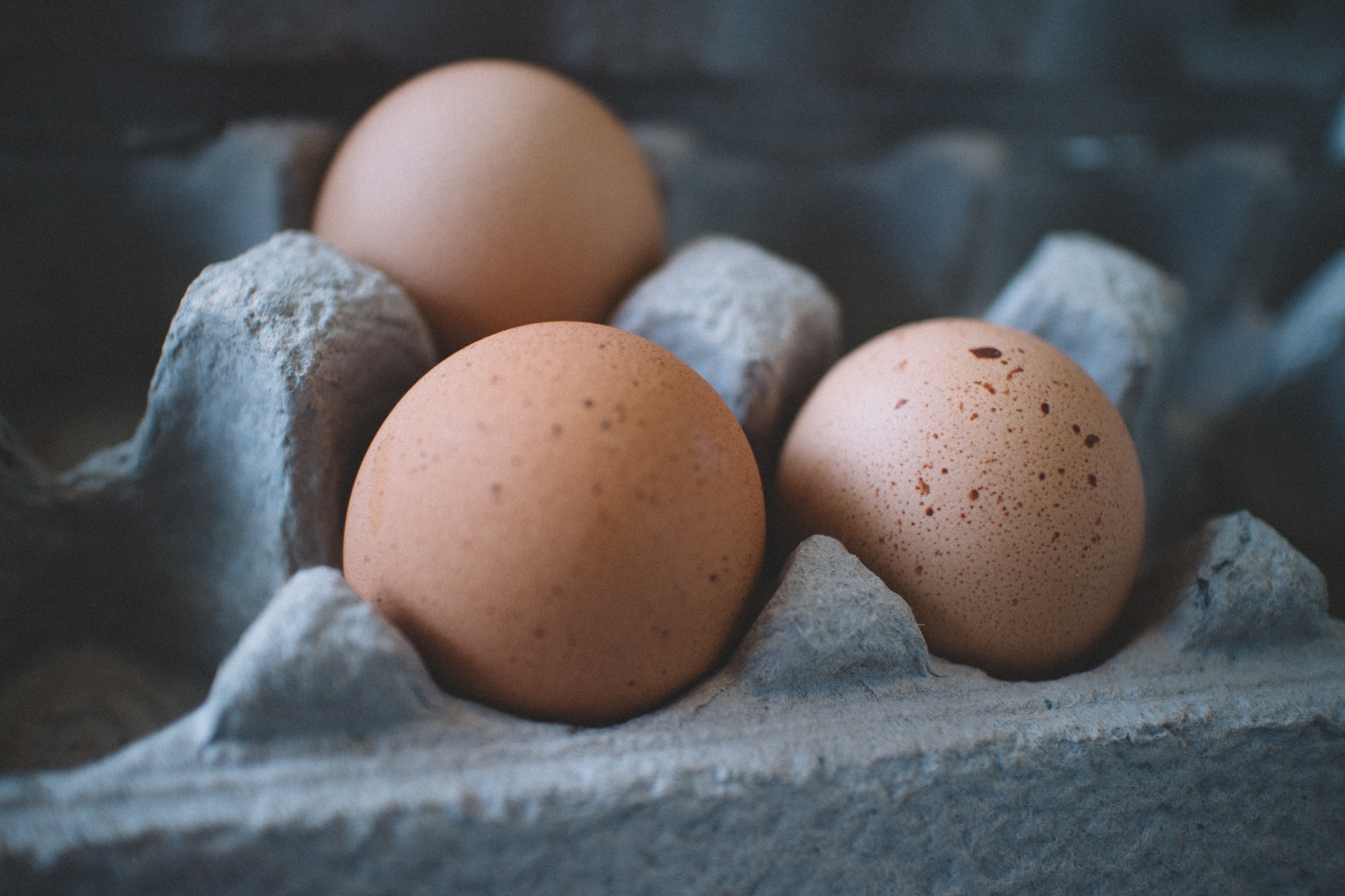 Brown Eggs in Carton - Eggs Naturally High in Taurine