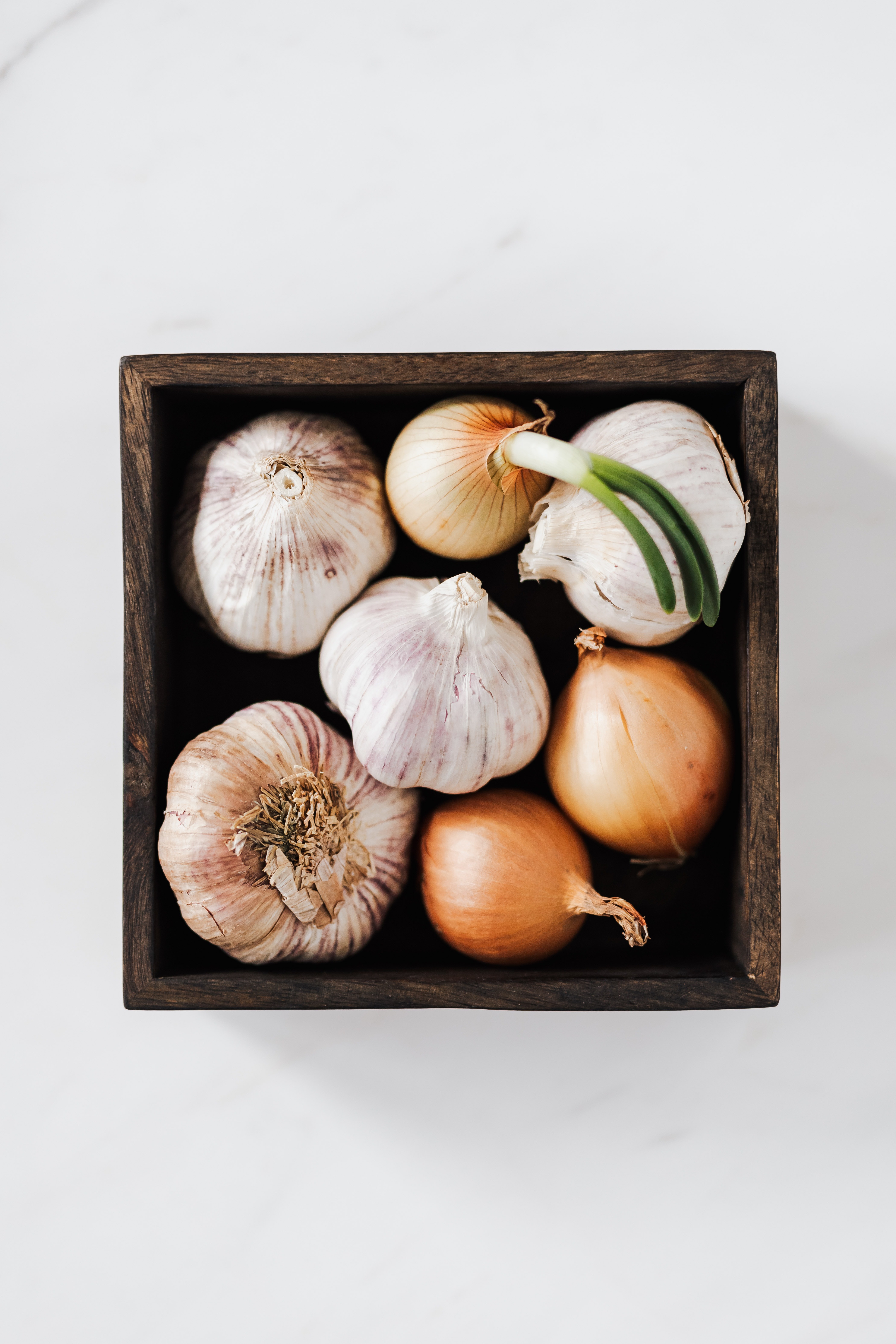 Garlic and Onion Health Benefits