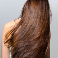 Scalp Health: Picture of Healthy Long Brunette Highlighted Hair