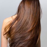 Back View of Healthy-Looking Long Brown-Auburn Hair