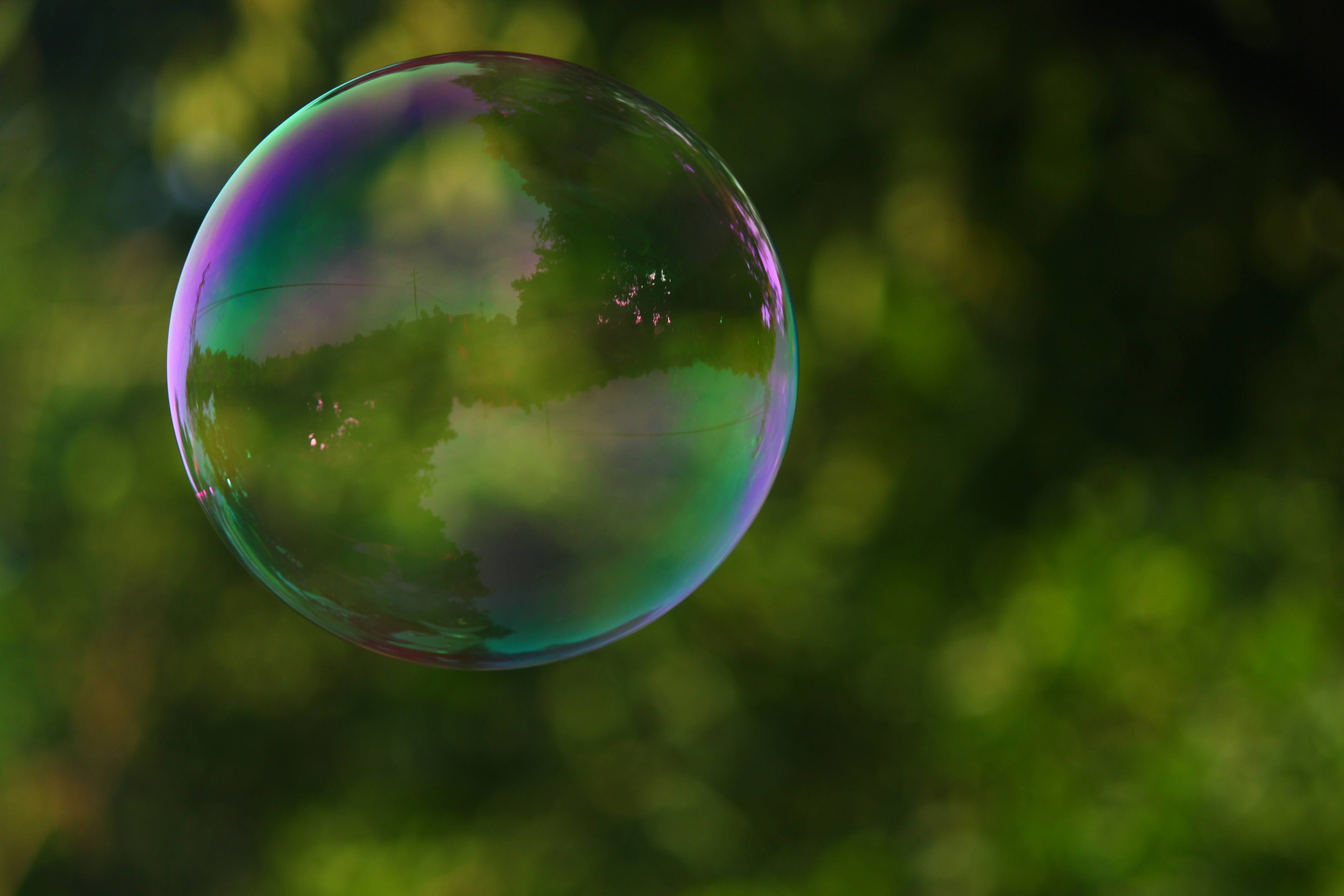 Suds Bubble on Green Outdoor Background